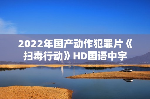 2022年国产动作犯罪片《扫毒行动》HD国语中字