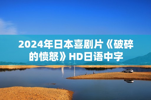 2024年日本喜剧片《破碎的愤怒》HD日语中字