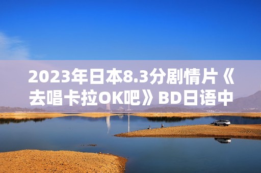 2023年日本8.3分剧情片《去唱卡拉OK吧》BD日语中字