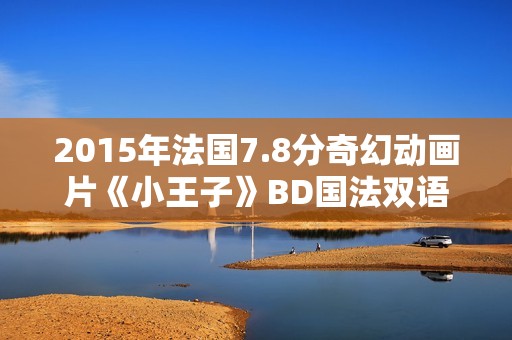 2015年法国7.8分奇幻动画片《小王子》BD国法双语中字