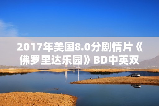 2017年美国8.0分剧情片《佛罗里达乐园》BD中英双字