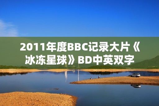 2011年度BBC记录大片《冰冻星球》BD中英双字