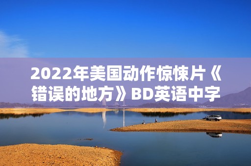 2022年美国动作惊悚片《错误的地方》BD英语中字