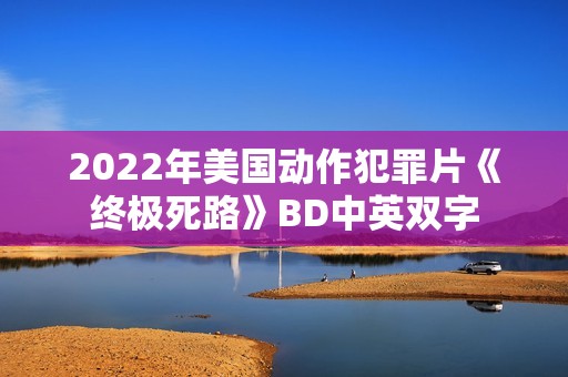 2022年美国动作犯罪片《终极死路》BD中英双字