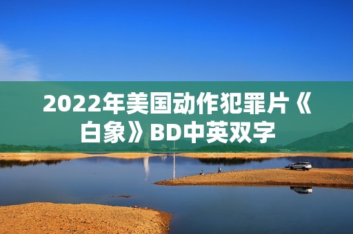 2022年美国动作犯罪片《白象》BD中英双字