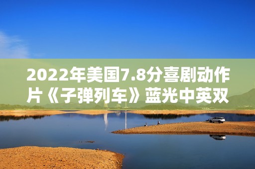 2022年美国7.8分喜剧动作片《子弹列车》蓝光中英双字