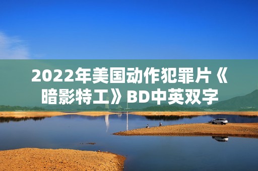 2022年美国动作犯罪片《暗影特工》BD中英双字