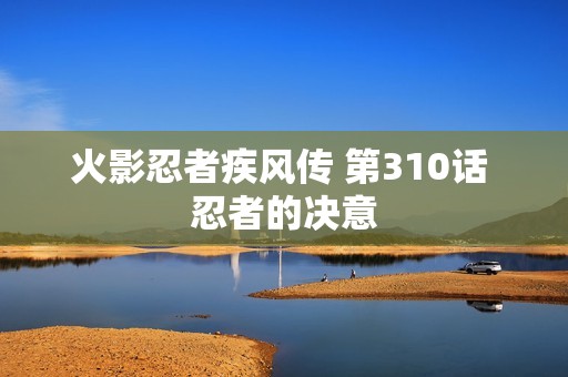 火影忍者疾风传 第310话 忍者的决意