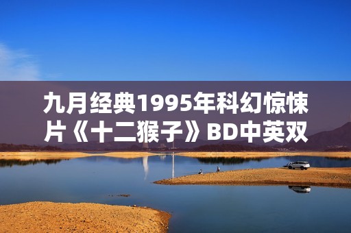 九月经典1995年科幻惊悚片《十二猴子》BD中英双字