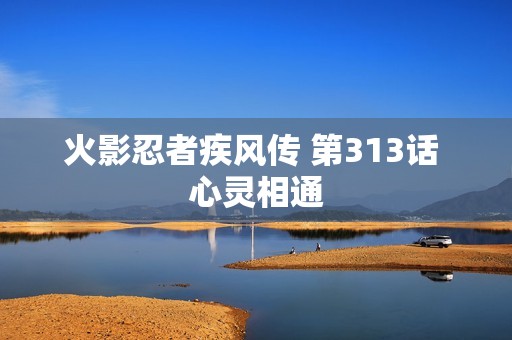火影忍者疾风传 第313话 心灵相通