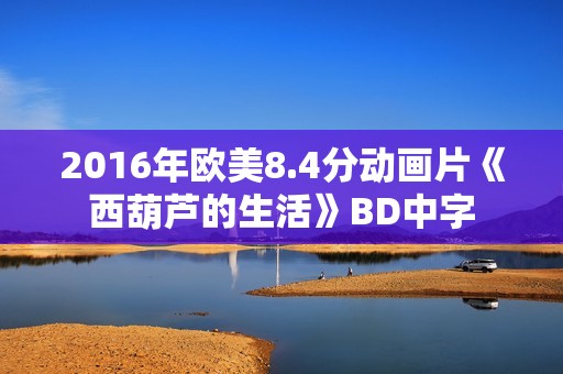 2016年欧美8.4分动画片《西葫芦的生活》BD中字