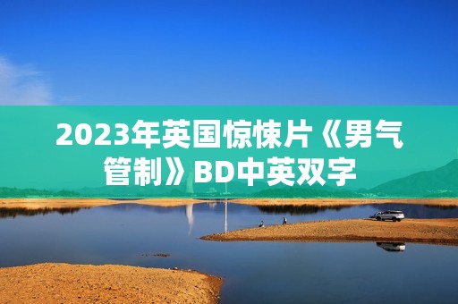 2023年英国惊悚片《男气管制》BD中英双字