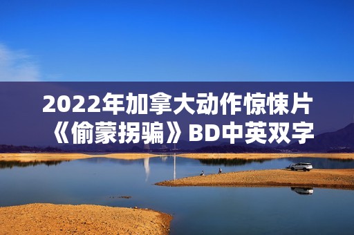2022年加拿大动作惊悚片《偷蒙拐骗》BD中英双字