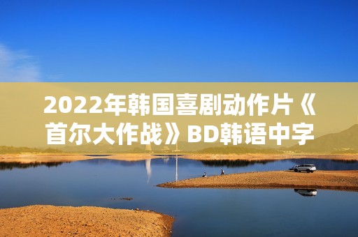2022年韩国喜剧动作片《首尔大作战》BD韩语中字