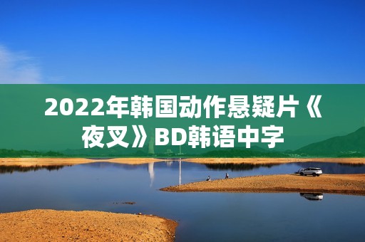 2022年韩国动作悬疑片《夜叉》BD韩语中字