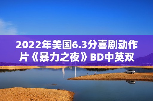 2022年美国6.3分喜剧动作片《暴力之夜》BD中英双字