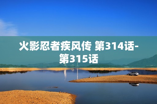 火影忍者疾风传 第314话-第315话