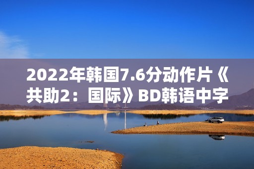2022年韩国7.6分动作片《共助2：国际》BD韩语中字