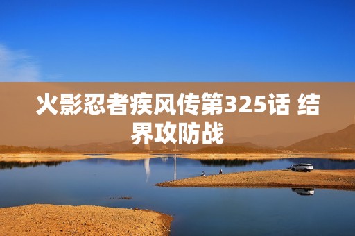 火影忍者疾风传第325话 结界攻防战