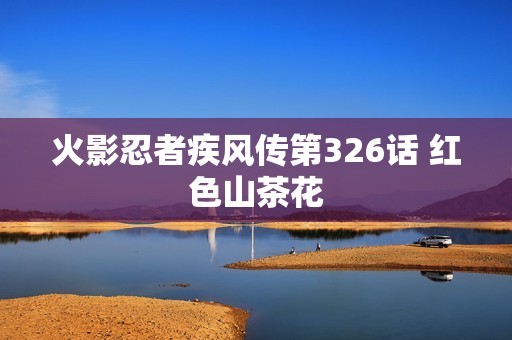 火影忍者疾风传第326话 红色山茶花