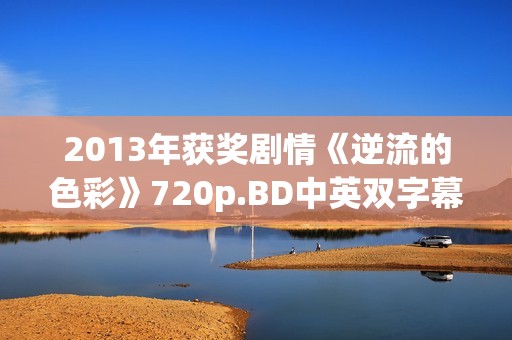 2013年获奖剧情《逆流的色彩》720p.BD中英双字幕