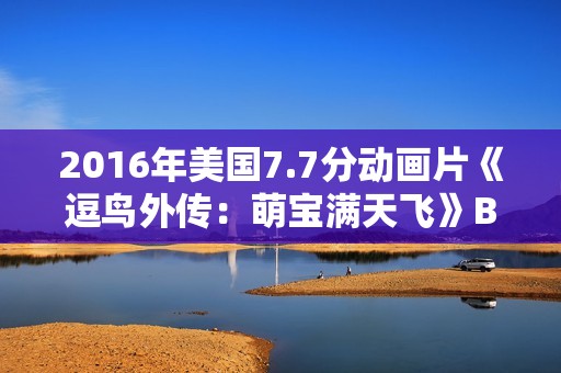 2016年美国7.7分动画片《逗鸟外传：萌宝满天飞》BD中英双字