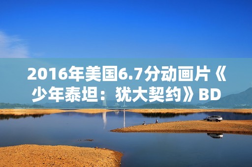 2016年美国6.7分动画片《少年泰坦：犹大契约》BD中英双字