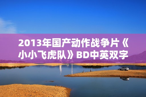 2013年国产动作战争片《小小飞虎队》BD中英双字
