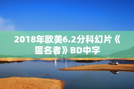 2018年欧美6.2分科幻片《匿名者》BD中字