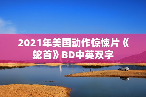 2021年美国动作惊悚片《蛇首》BD中英双字