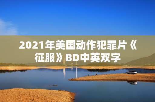 2021年美国动作犯罪片《征服》BD中英双字