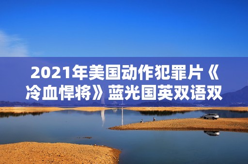 2021年美国动作犯罪片《冷血悍将》蓝光国英双语双字