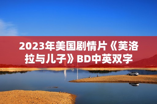 2023年美国剧情片《芙洛拉与儿子》BD中英双字