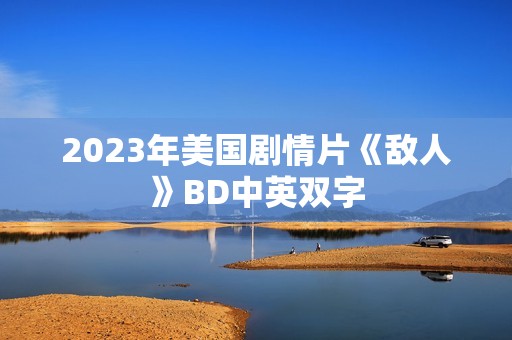 2023年美国剧情片《敌人》BD中英双字