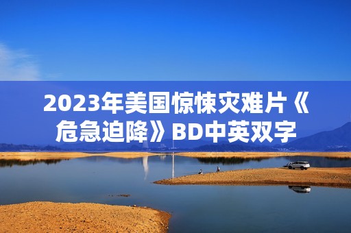 2023年美国惊悚灾难片《危急迫降》BD中英双字