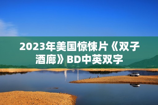 2023年美国惊悚片《双子酒廊》BD中英双字