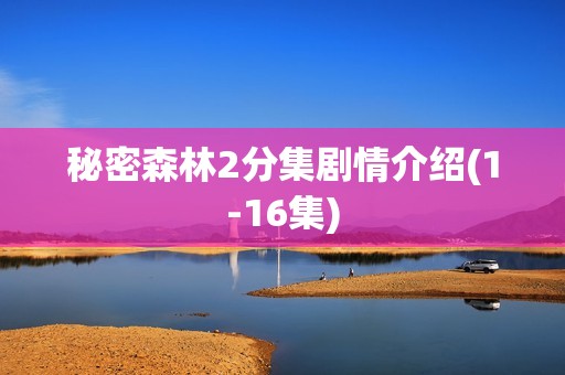 秘密森林2分集剧情介绍(1-16集)