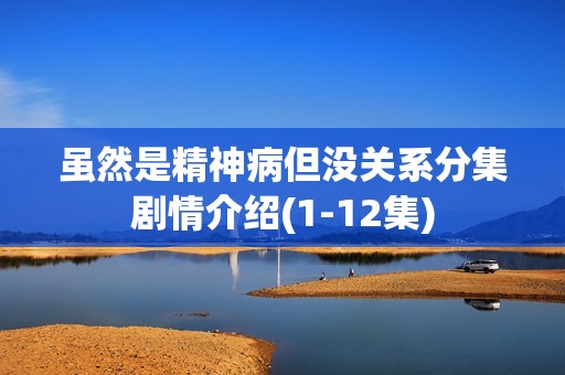 虽然是精神病但没关系分集剧情介绍(1-12集)