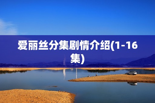 爱丽丝分集剧情介绍(1-16集)