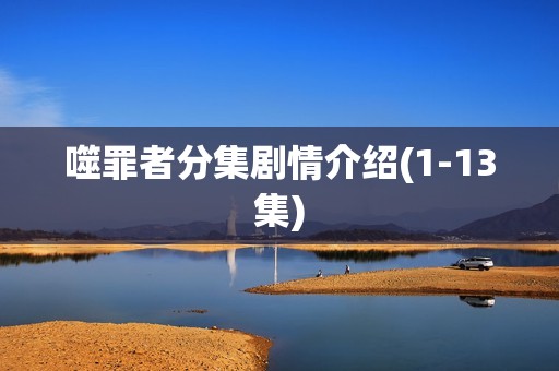 噬罪者分集剧情介绍(1-13集)