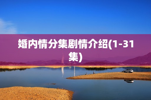 婚内情分集剧情介绍(1-31集)