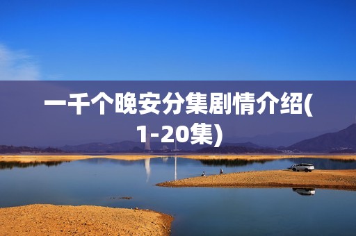 一千个晚安分集剧情介绍(1-20集)