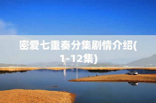 密爱七重奏分集剧情介绍(1-12集)