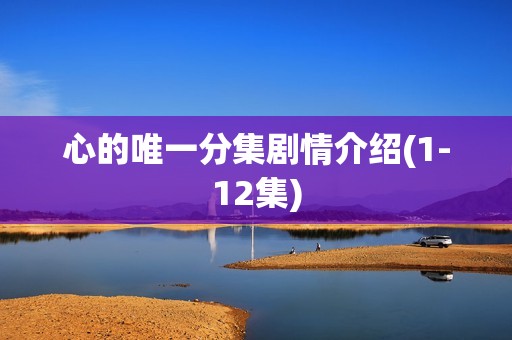 心的唯一分集剧情介绍(1-12集)