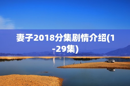 妻子2018分集剧情介绍(1-29集)