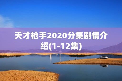 天才枪手2020分集剧情介绍(1-12集)