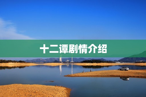 十二谭剧情介绍