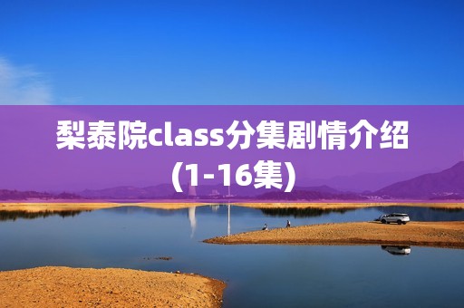 梨泰院class分集剧情介绍(1-16集)