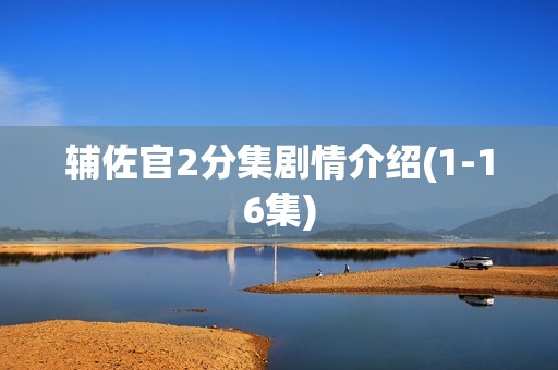 辅佐官2分集剧情介绍(1-16集)