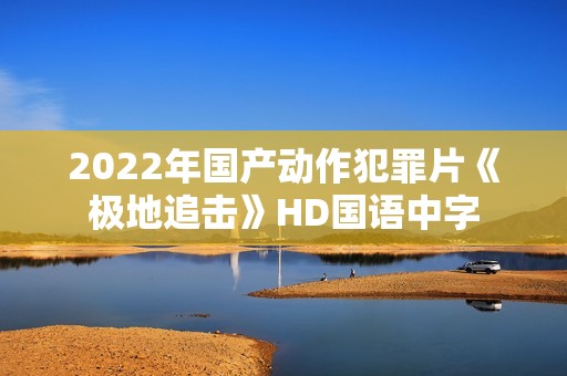 2022年国产动作犯罪片《极地追击》HD国语中字
